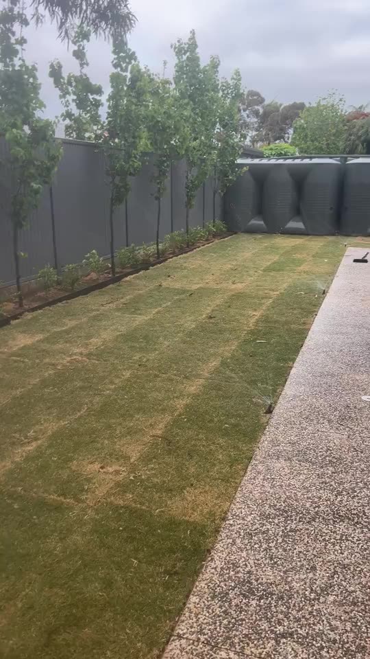 New turf — day one — real AOI job