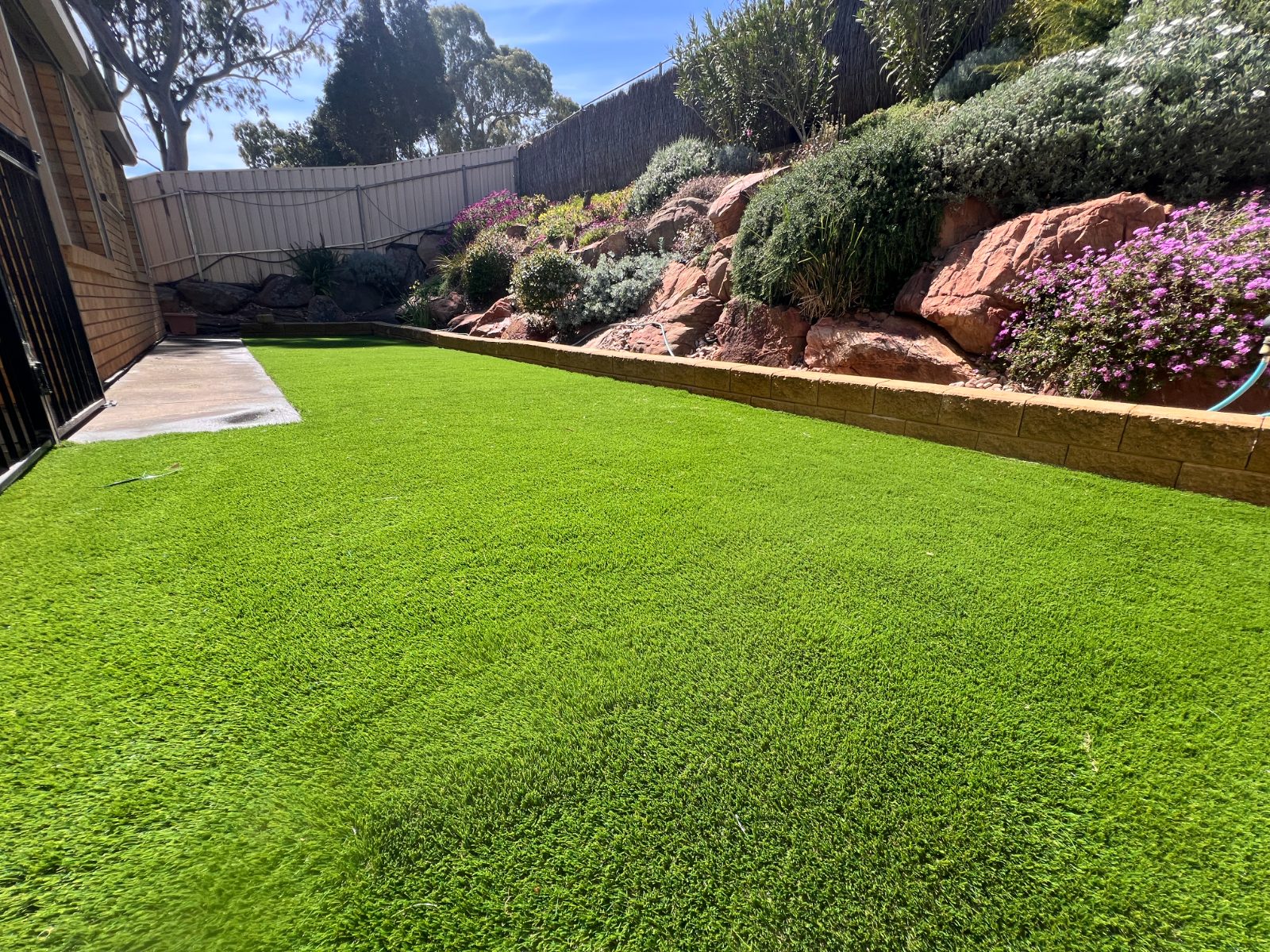 Turf & lawns — real AOI job, Adelaide
