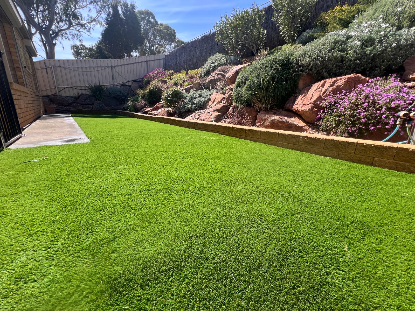 Turf & lawns — real AOI job, Adelaide